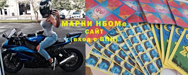 индика Бородино