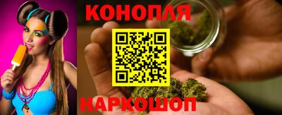 прущие грибы Волгодонск