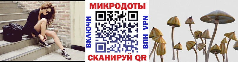 Псилоцибиновые грибы мицелий  Бугуруслан 