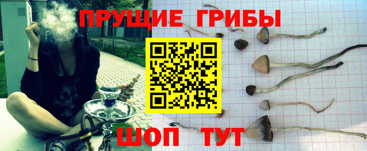 Псилоцибиновые грибы Psilocybine cubensis  Вход с VPN  Бугуруслан 